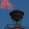 Columna rostral