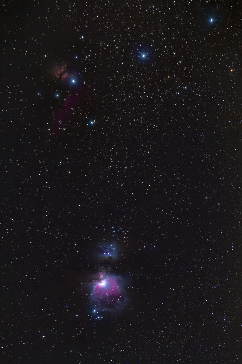 Nebulosa de Orión y Cabeza de Caballo