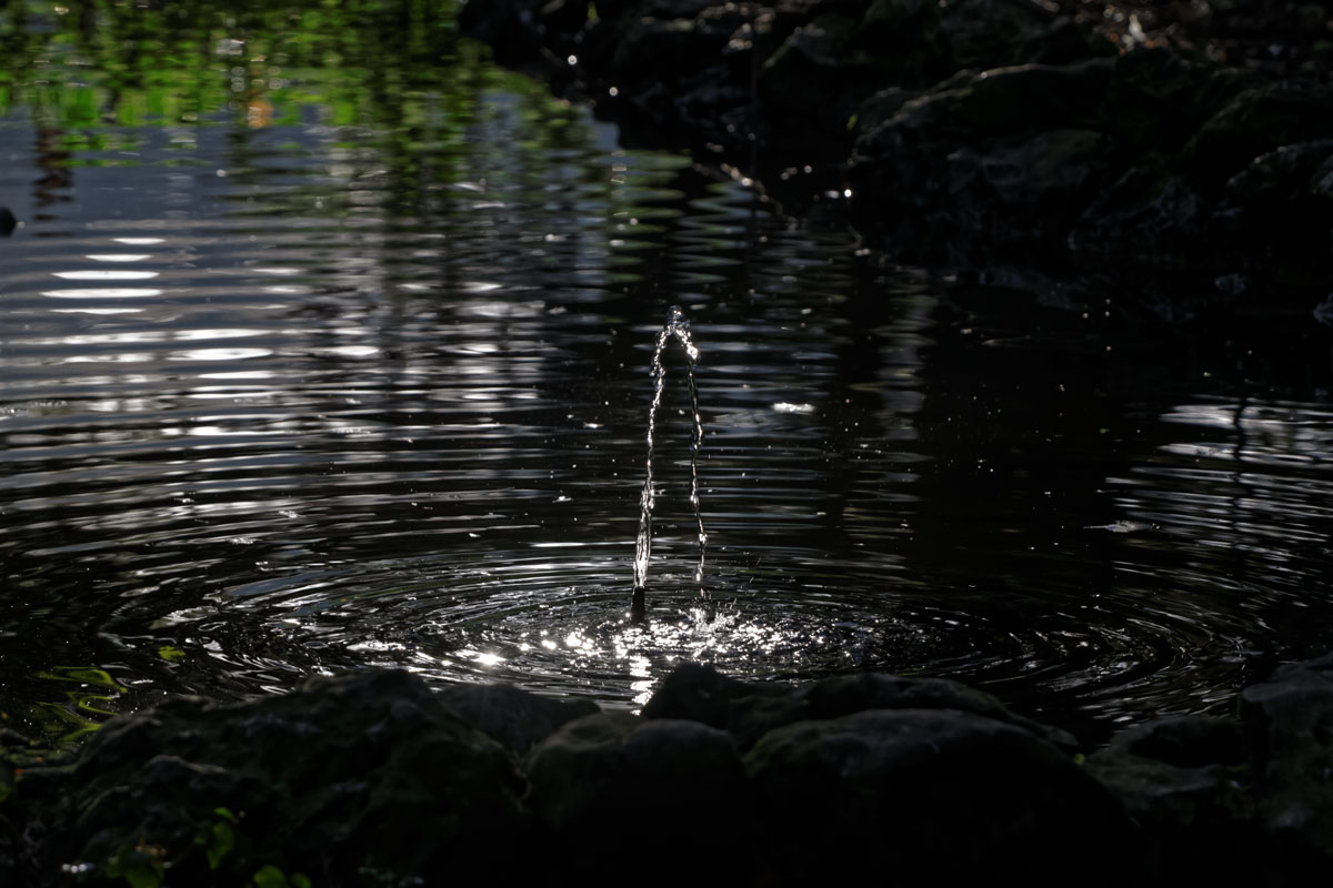 Fuente y estanque